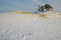 Kootwijkerzand in winter PVH70a-0368
