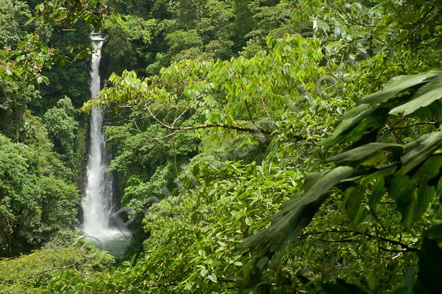 Waterval in tropisch regenwoud PVH70b-2621