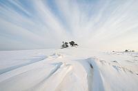 Kootwijkerzand in winter PVH70a-0387